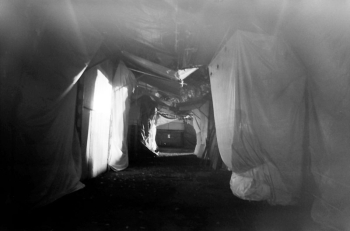 https://www.ornumtrauts.com/files/gimgs/th-138_Untitled-59_v2.jpg