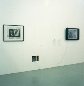 https://www.ornumtrauts.com/files/gimgs/th-158_ylde-rca0082011sml.jpg