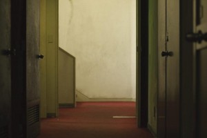 https://www.ornumtrauts.com/files/gimgs/th-162_IMG_0072_v2.jpg
