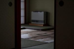 https://www.ornumtrauts.com/files/gimgs/th-162_IMG_0074_v2.jpg