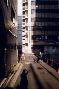 https://www.ornumtrauts.com/files/gimgs/th-184_000012490028.jpg
