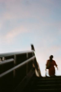 https://www.ornumtrauts.com/files/gimgs/th-184_000020970018sml.jpg