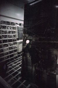 https://www.ornumtrauts.com/files/gimgs/th-184_000020980008sml.jpg