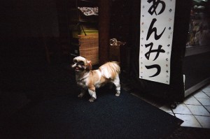 https://www.ornumtrauts.com/files/gimgs/th-184_000020980032sml.jpg