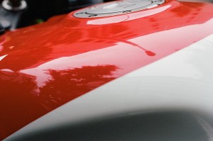 https://www.ornumtrauts.com/files/gimgs/th-184_000042380024sml.jpg