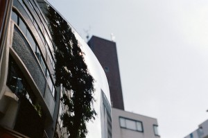 https://www.ornumtrauts.com/files/gimgs/th-184_000042390027_v2.jpg