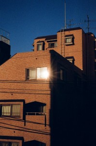https://www.ornumtrauts.com/files/gimgs/th-184_000050010001.jpg
