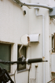 https://www.ornumtrauts.com/files/gimgs/th-185_000020960011.jpg