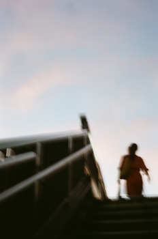 https://www.ornumtrauts.com/files/gimgs/th-185_000020970018.jpg