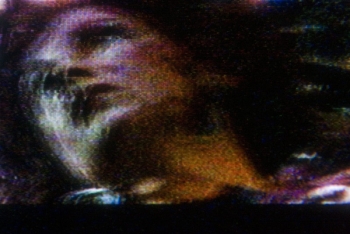 https://www.ornumtrauts.com/files/gimgs/th-22_22_img3257.jpg