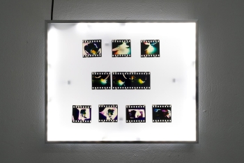 https://www.ornumtrauts.com/files/gimgs/th-230_DSC02985.jpg