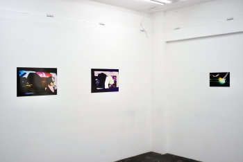 https://www.ornumtrauts.com/files/gimgs/th-230_DSC03016.jpg